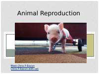Animal Reproduction PP Part 1.pptx